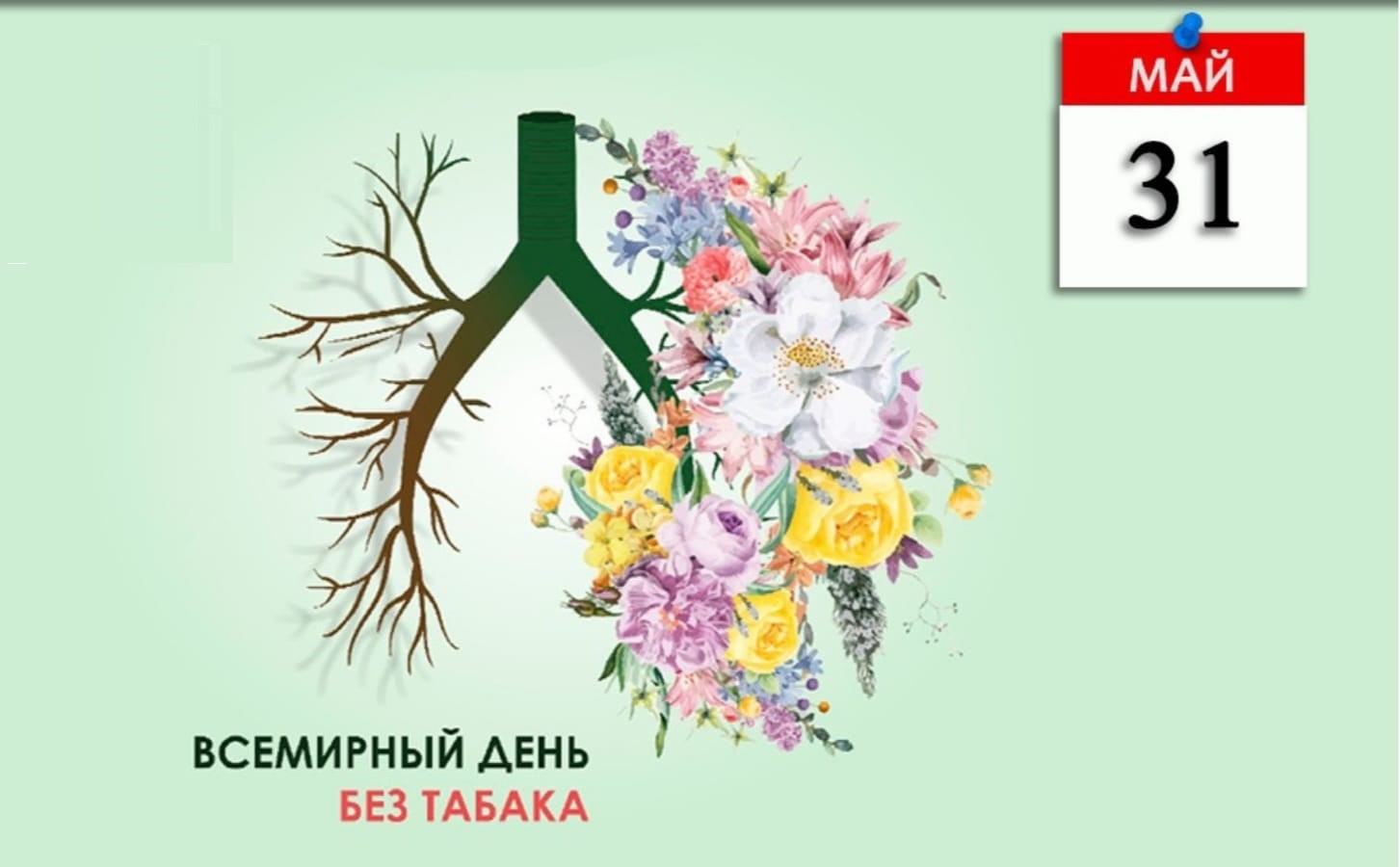 31 мая –всемирный день без табака